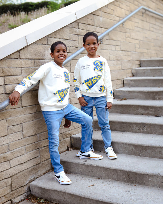 North Carolina A&T – NCAT Aggie LOGO-Land Unisex Sponge Cotton HBCU Family Sweatshirt