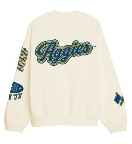 PREORDER: YOUTH Embroidered NCAT Aggie LOGO-Land Unisex Sponge Cotton HBCU Family Sweatshirt (Copy)